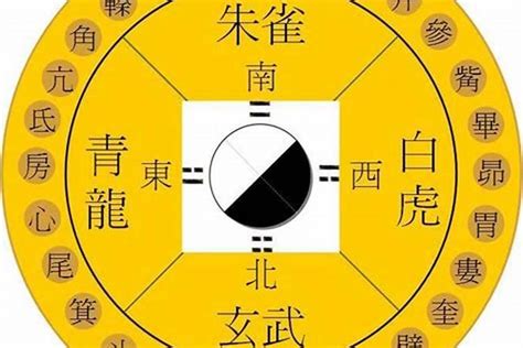 青龙位要放什么